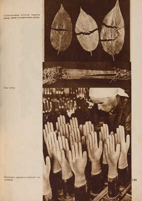 Советские субтропики / Ред. М. Кольцов; худ.-оформ. Эль и Эс Лисицкие. М., 1934.